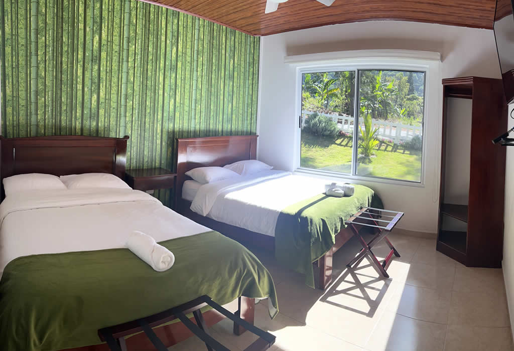 Habitación Twin