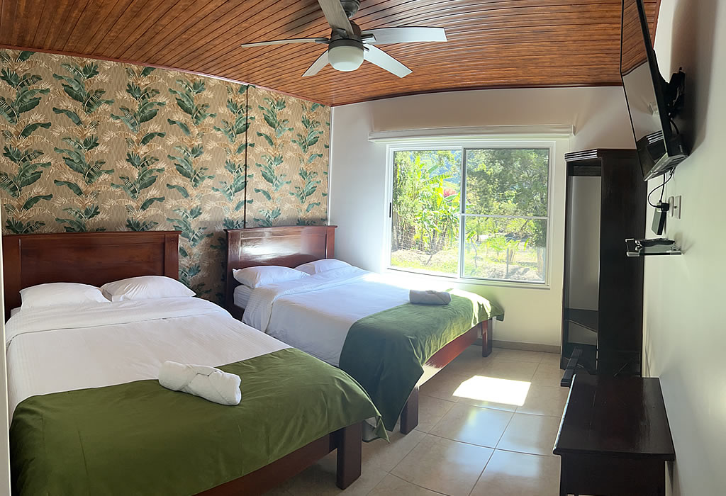 Habitación Twin
